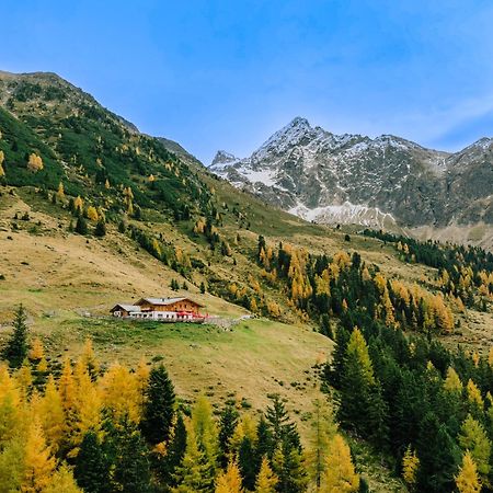Die Acherberg Alm Oetz Bagian luar foto