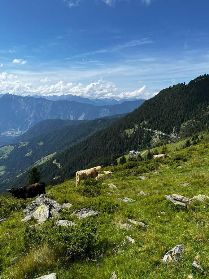 Die Acherberg Alm Oetz Bagian luar foto